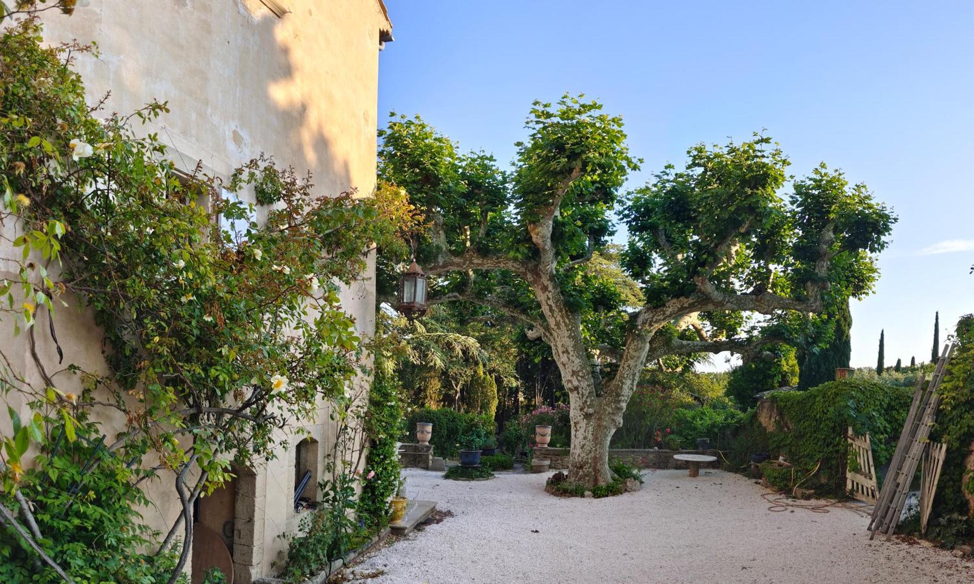 Rue Du Chateau A Cabrieres D'Avignon Bed & Breakfast Luaran gambar