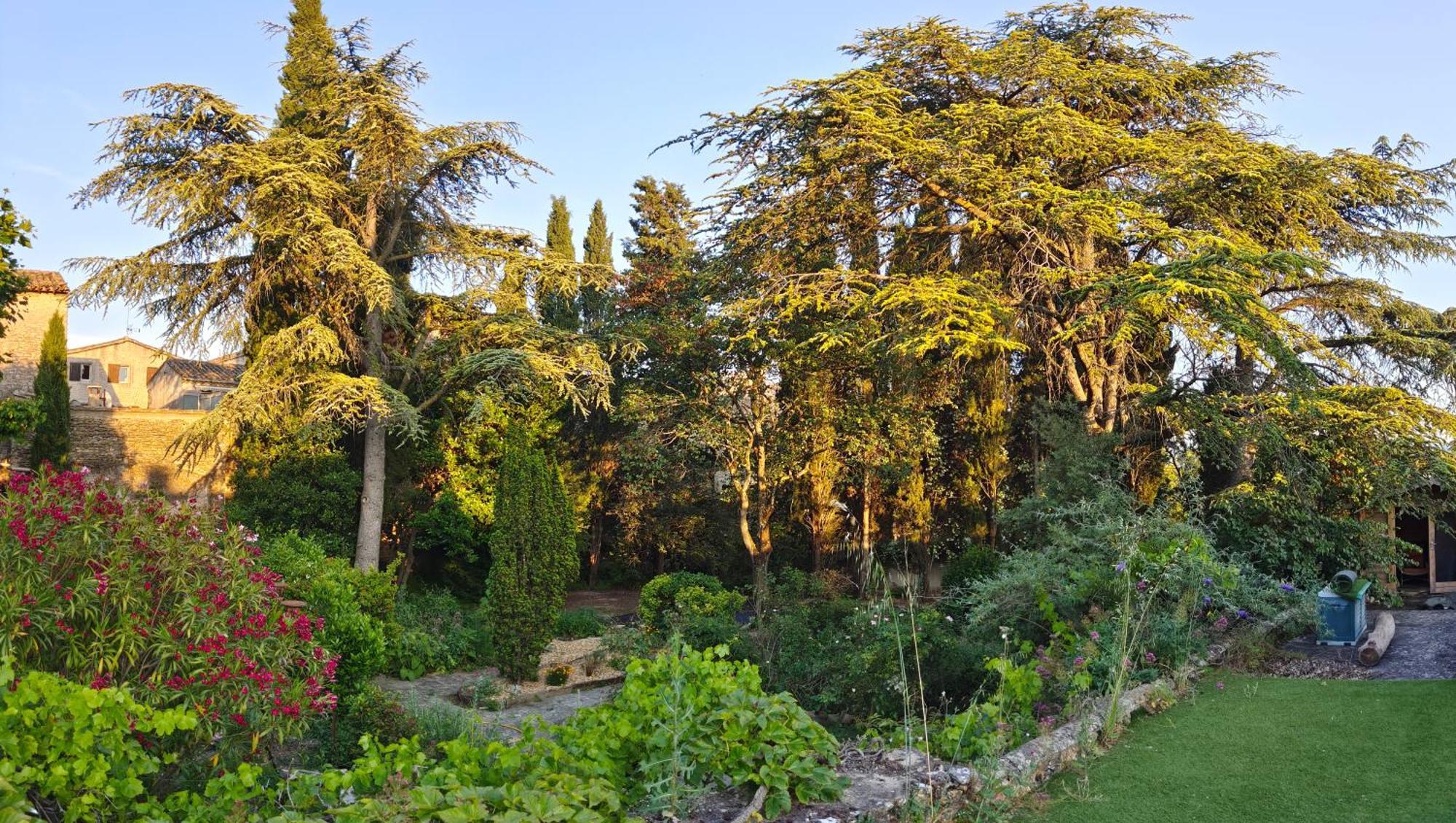 Rue Du Chateau A Cabrieres D'Avignon Bed & Breakfast Luaran gambar